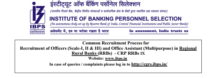 ibps rrb multipurpose